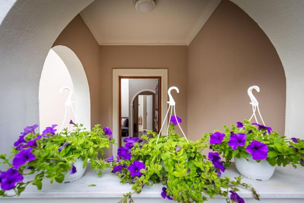 Angelikis House Lägenhet Kompítsion Exteriör bild
